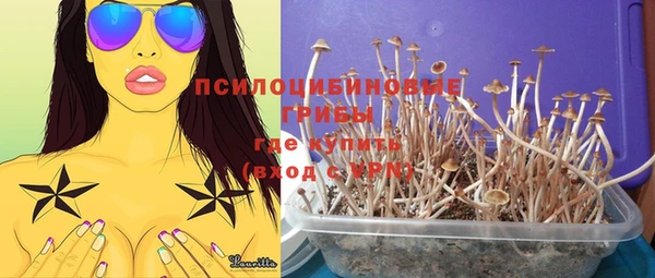 стафф Бугульма