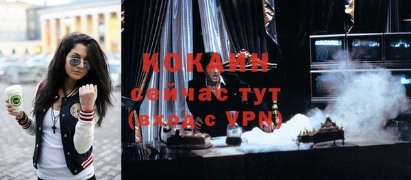 не бодяженный Бородино