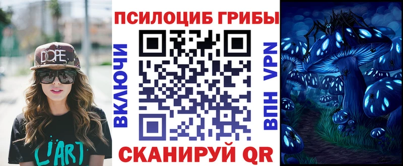Псилоцибиновые грибы Psilocybe Купить где Балтийск